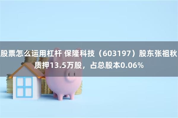 股票怎么运用杠杆 保隆科技（603197）股东张祖秋质押13.5万股，占总股本0.06%