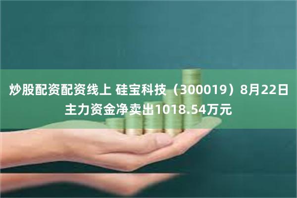 炒股配资配资线上 硅宝科技（300019）8月22日主力资金净卖出1018.54万元