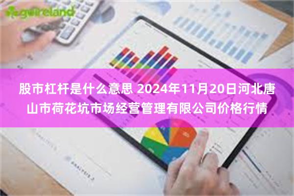 股市杠杆是什么意思 2024年11月20日河北唐山市荷花坑市场经营管理有限公司价格行情