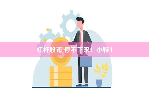 杠杆股市 停不下来！小特1