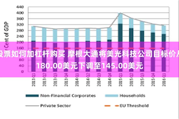 股票如何加杠杆购买 摩根大通将美光科技公司目标价从180.00美元下调至145.00美元