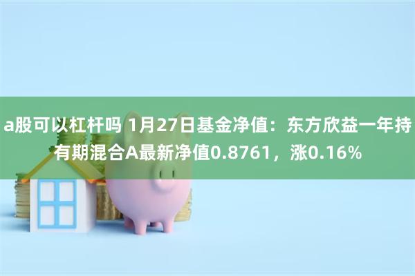 a股可以杠杆吗 1月27日基金净值：东方欣益一年持有期混合A最新净值0.8761，涨0.16%