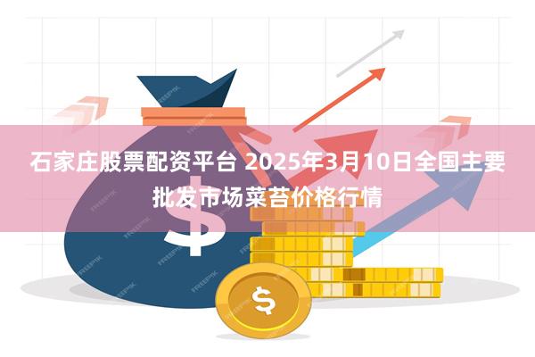 石家庄股票配资平台 2025年3月10日全国主要批发市场菜苔价格行情